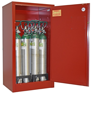 Image of MG109FLE MedGas Empty Gas Cylinder Storage Cabinet